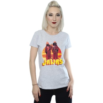 Abbigliamento Donna T-shirts a maniche lunghe Disney A New Hope Jawas Grigio