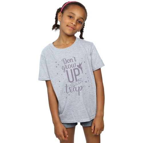Abbigliamento Bambina T-shirts a maniche lunghe Disney Tinker Bell Don't Grow Up Grigio