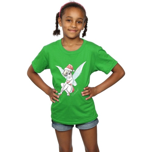 Abbigliamento Bambina T-shirts a maniche lunghe Disney Tinkerbell Christmas Fairy Verde