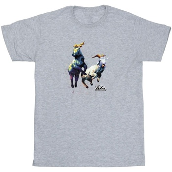 Abbigliamento Bambina T-shirts a maniche lunghe Marvel Thor Love And Thunder Toothgnasher Flames Grigio