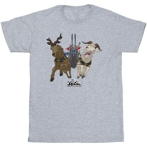 Abbigliamento Bambina T-shirts a maniche lunghe Marvel Thor Love And Thunder Viking Ship Grigio
