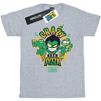 Abbigliamento Bambina T-shirts a maniche lunghe Dc Comics Teen Titans Go Crazy For Pizza Grigio