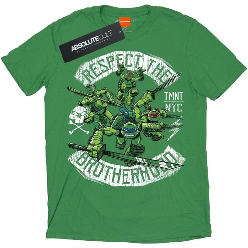 Abbigliamento Donna T-shirts a maniche lunghe Tmnt Respect The Brotherhood Verde