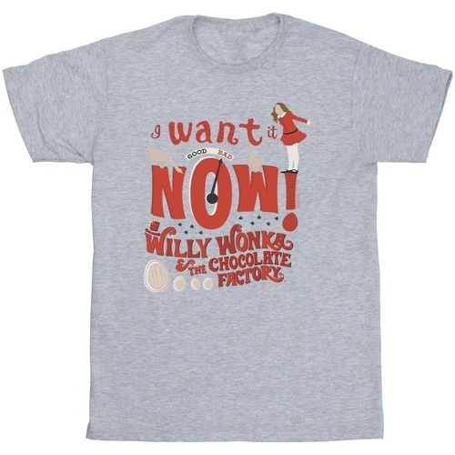Abbigliamento Bambina T-shirts a maniche lunghe Willy Wonka Verruca Salt I Want It Now Grigio