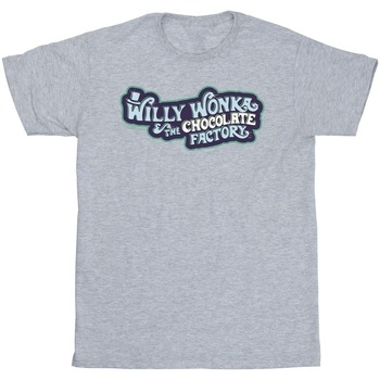Abbigliamento Bambina T-shirts a maniche lunghe Willy Wonka Chocolate Factory Logo Grigio