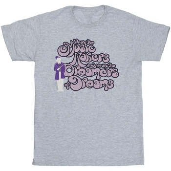 Abbigliamento Bambina T-shirts a maniche lunghe Willy Wonka Dreamers Text Grigio