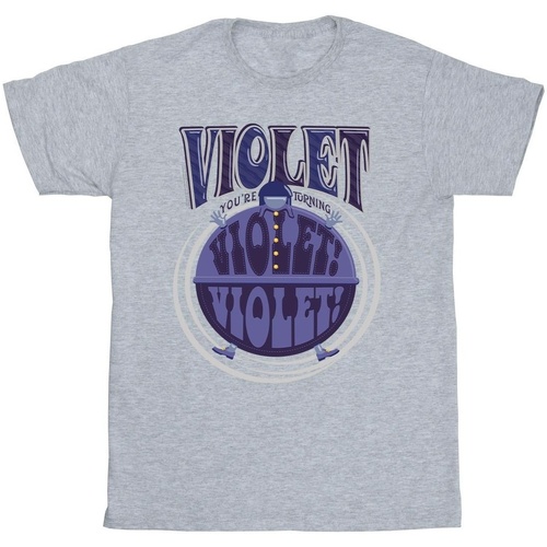 Abbigliamento Bambina T-shirts a maniche lunghe Willy Wonka Violet Turning Violet Grigio