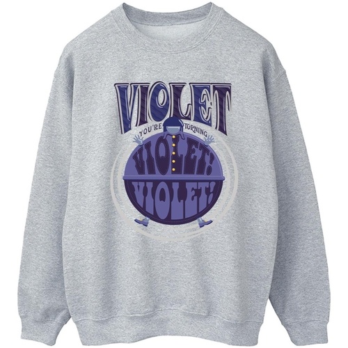 Abbigliamento Donna Felpe Willy Wonka Violet Turning Violet Grigio