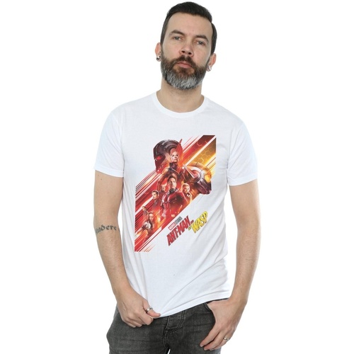 Abbigliamento Uomo T-shirts a maniche lunghe Marvel Studios Ant-Man And The Wasp Poster Bianco