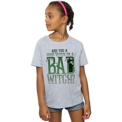 Abbigliamento Bambina T-shirts a maniche lunghe The Wizard Of Oz Good Witch Bad Witch Grigio