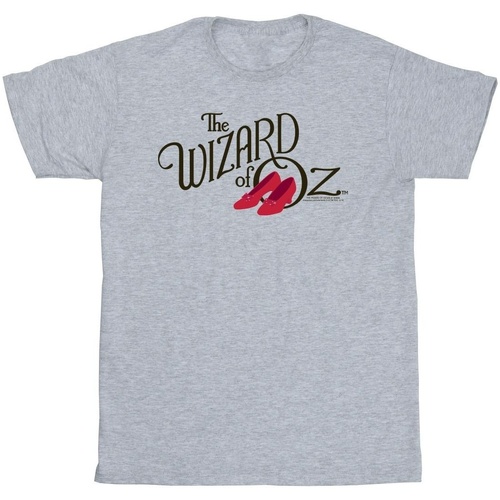 Abbigliamento Bambina T-shirts a maniche lunghe The Wizard Of Oz Ruby Slippers Logo Grigio