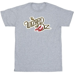 Abbigliamento Bambina T-shirts a maniche lunghe The Wizard Of Oz Shoes Logo Grigio