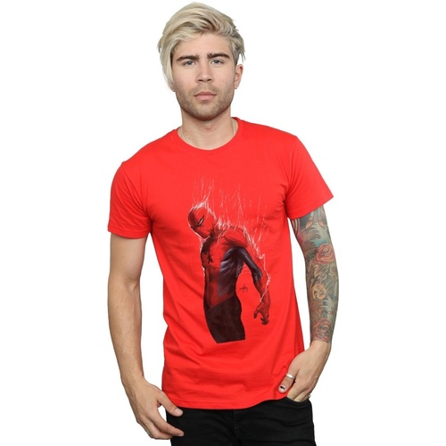 Abbigliamento Uomo T-shirts a maniche lunghe Marvel Spider-Man Web Wrap Rosso