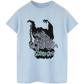 Abbigliamento Donna T-shirts a maniche lunghe Scooby Doo Scared Jump Blu
