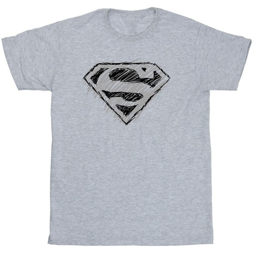 Abbigliamento Bambina T-shirts a maniche lunghe Dc Comics Superman Logo Sketch Grigio