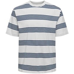 Abbigliamento Uomo T-shirt maniche corte Only & Sons  22028148 LEONARD Multicolore