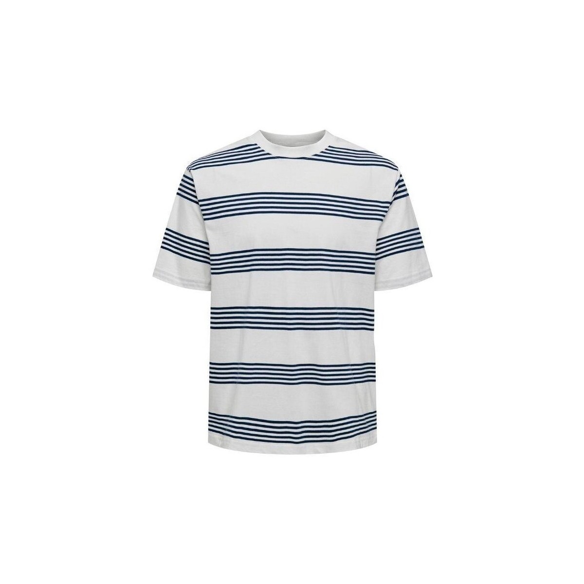 Abbigliamento Uomo T-shirt maniche corte Only & Sons  22028148 LEONARD Multicolore
