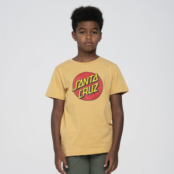 Image of T-shirt & Polo Santa Cruz Youth classic dot t-shirt