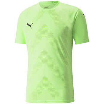Abbigliamento Uomo T-shirt & Polo Puma 705017-20 Verde