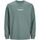 Abbigliamento Bambino T-shirt & Polo Jack & Jones 12253958 ESTERBRO-LAREL WREATH Verde
