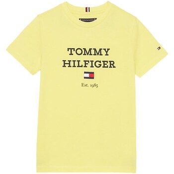 Abbigliamento Bambino T-shirts a maniche lunghe Tommy Hilfiger KB0KB08671 Giallo