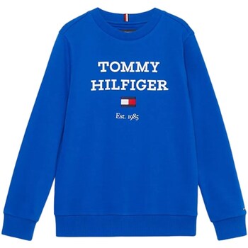 Abbigliamento Bambino Felpe Tommy Hilfiger KB0KB08713 Blu