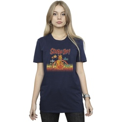Abbigliamento Donna T-shirts a maniche lunghe Scooby Doo Palm Trees Blu