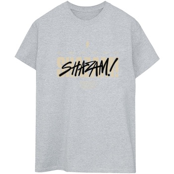 Abbigliamento Donna T-shirts a maniche lunghe Dc Comics Shazam Fury Of The Gods Vandalised Logo Grigio