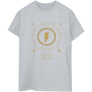 Abbigliamento Donna T-shirts a maniche lunghe Dc Comics Shazam Fury Of The Gods Golden Spiral Chest Grigio