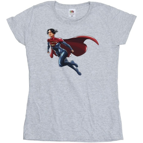 Abbigliamento Donna T-shirts a maniche lunghe Dc Comics The Flash Supergirl Grigio