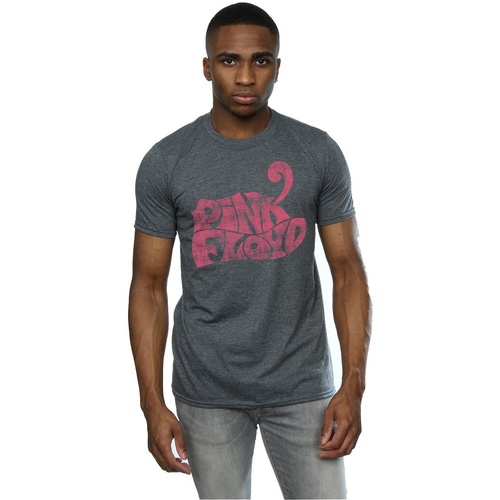 Abbigliamento Uomo T-shirts a maniche lunghe Pink Floyd Retro Logo Grigio