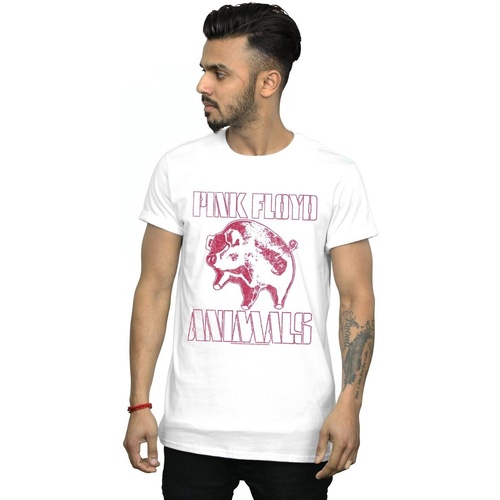 Abbigliamento Uomo T-shirts a maniche lunghe Pink Floyd Animals Algie Bianco