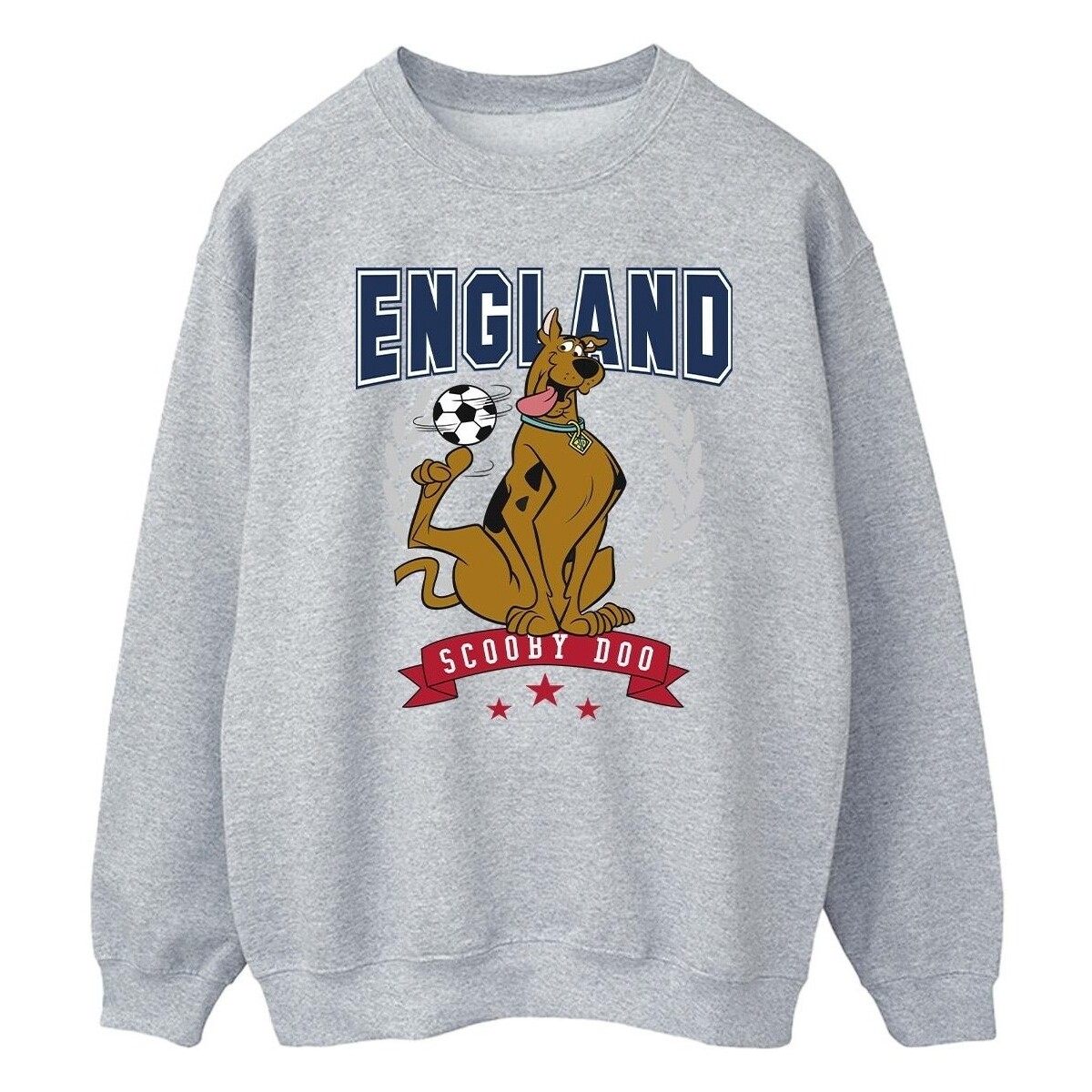 Abbigliamento Uomo Felpe Scooby Doo England Football Grigio