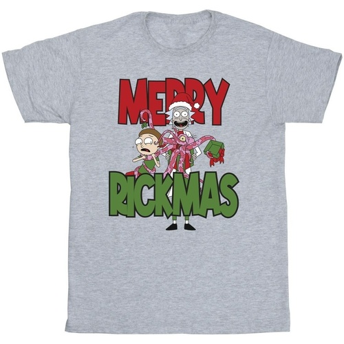 Abbigliamento Uomo T-shirts a maniche lunghe Rick And Morty Merry Rickmas Grigio