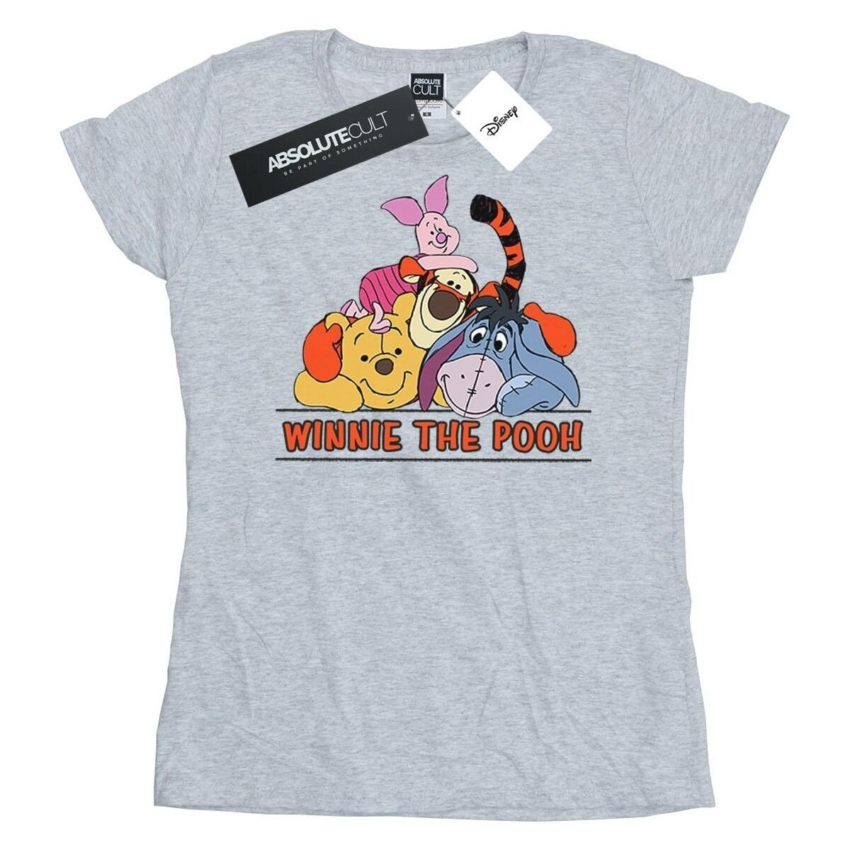 Abbigliamento Donna T-shirts a maniche lunghe Disney Winnie The Pooh Group Grigio