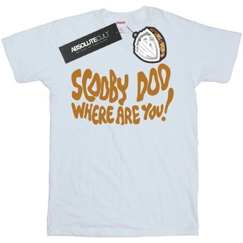 Abbigliamento Uomo T-shirts a maniche lunghe Scooby Doo Where Are You Spooky Bianco