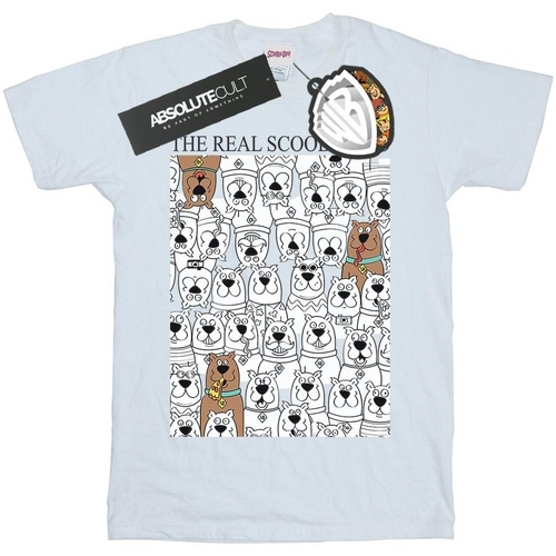Abbigliamento Uomo T-shirts a maniche lunghe Scooby Doo The Real Bianco