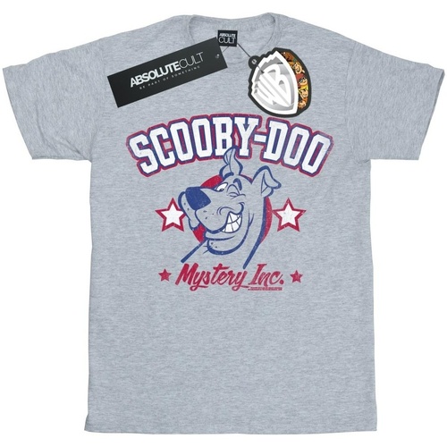 Abbigliamento Uomo T-shirts a maniche lunghe Scooby Doo Collegiate Mystery Inc Grigio