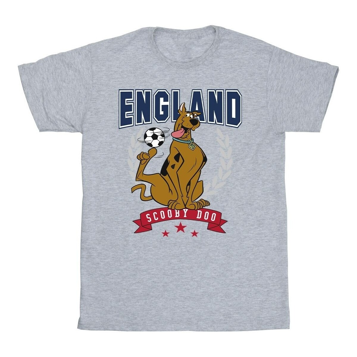 Abbigliamento Uomo T-shirts a maniche lunghe Scooby Doo England Football Grigio