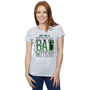 Abbigliamento Donna T-shirts a maniche lunghe The Wizard Of Oz Good Witch Bad Witch Grigio