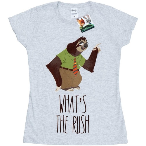 Abbigliamento Donna T-shirts a maniche lunghe Disney Zootropolis What's The Rush Grigio
