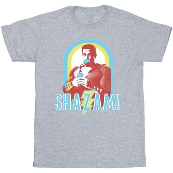 Abbigliamento Uomo T-shirts a maniche lunghe Dc Comics Shazam Buble Gum Frame Grigio