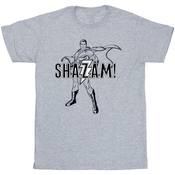Abbigliamento Uomo T-shirts a maniche lunghe Dc Comics Shazam Outline Grigio