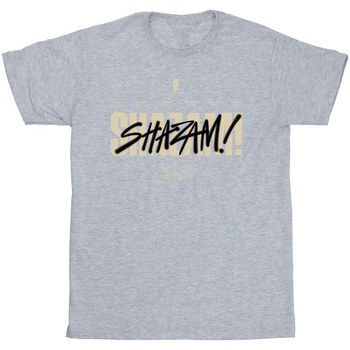 Abbigliamento Uomo T-shirts a maniche lunghe Dc Comics Shazam Fury Of The Gods Vandalised Logo Grigio