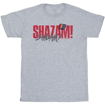 Abbigliamento Uomo T-shirts a maniche lunghe Dc Comics Shazam Fury Of The Gods Pride Distress Grigio