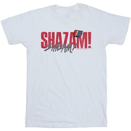 Abbigliamento Uomo T-shirts a maniche lunghe Dc Comics Shazam Fury Of The Gods Pride Distress Bianco