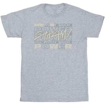 Abbigliamento Uomo T-shirts a maniche lunghe Dc Comics Shazam Fury Of The Gods We Are The Power Grigio