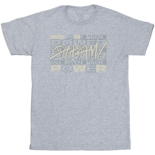 Abbigliamento Uomo T-shirts a maniche lunghe Dc Comics Shazam Fury Of The Gods We Are The Power Grigio