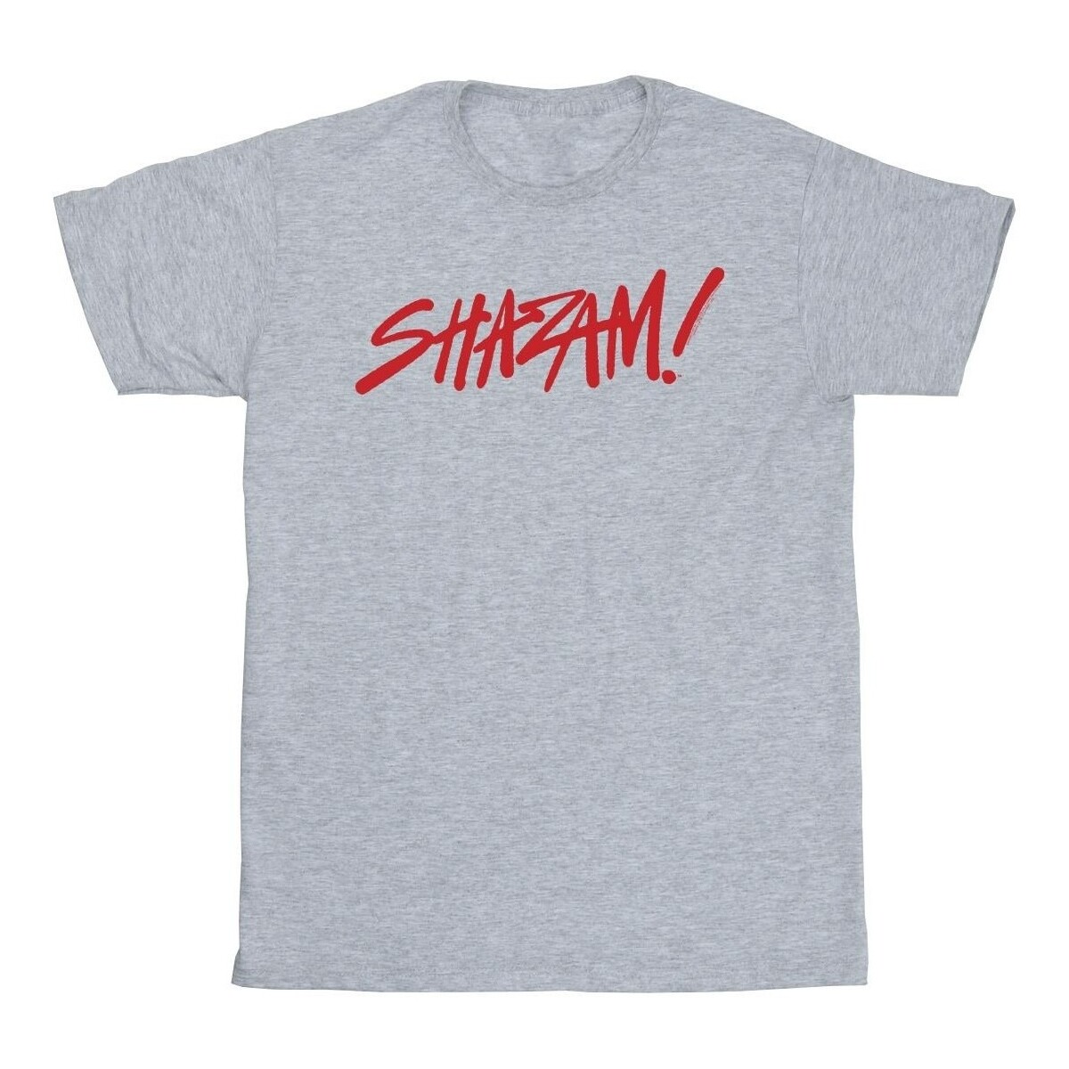 Abbigliamento Uomo T-shirts a maniche lunghe Dc Comics Shazam Fury Of The Gods Spray Paint Logo Grigio