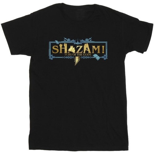 Abbigliamento Uomo T-shirts a maniche lunghe Dc Comics Shazam Fury Of The Gods Golden Logo Nero